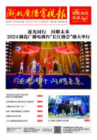 湖北广播电视报[2023] 第22期