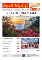 湖北广播电视报[2025] 第4期