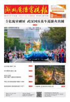 湖北广播电视报[2025] 第19期