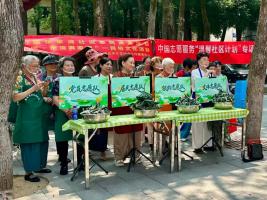 张家湾社区举办“粽香传情·爱心同行”端午主题活动